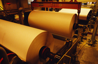Pulp & Paper